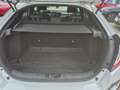 Honda Civic Diesel 1,6-DTEC Elegance Weiß - thumbnail 13