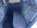 Ford Kuga 1.5 ecoblue ST-Line 2wd 120cv auto Blanco - thumbnail 12