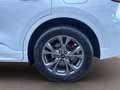 Ford Kuga 1.5 ecoblue ST-Line 2wd 120cv auto Blanco - thumbnail 14