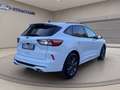 Ford Kuga 1.5 ecoblue ST-Line 2wd 120cv auto Blanco - thumbnail 4