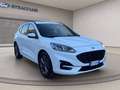 Ford Kuga 1.5 ecoblue ST-Line 2wd 120cv auto Blanco - thumbnail 8