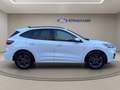 Ford Kuga 1.5 ecoblue ST-Line 2wd 120cv auto Blanco - thumbnail 10