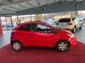 Ford Ka/Ka+ Ambiente 1HD TÜV NEU Rot - thumbnail 8