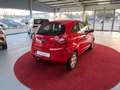 Ford Ka/Ka+ Ambiente 1HD TÜV NEU Rot - thumbnail 7