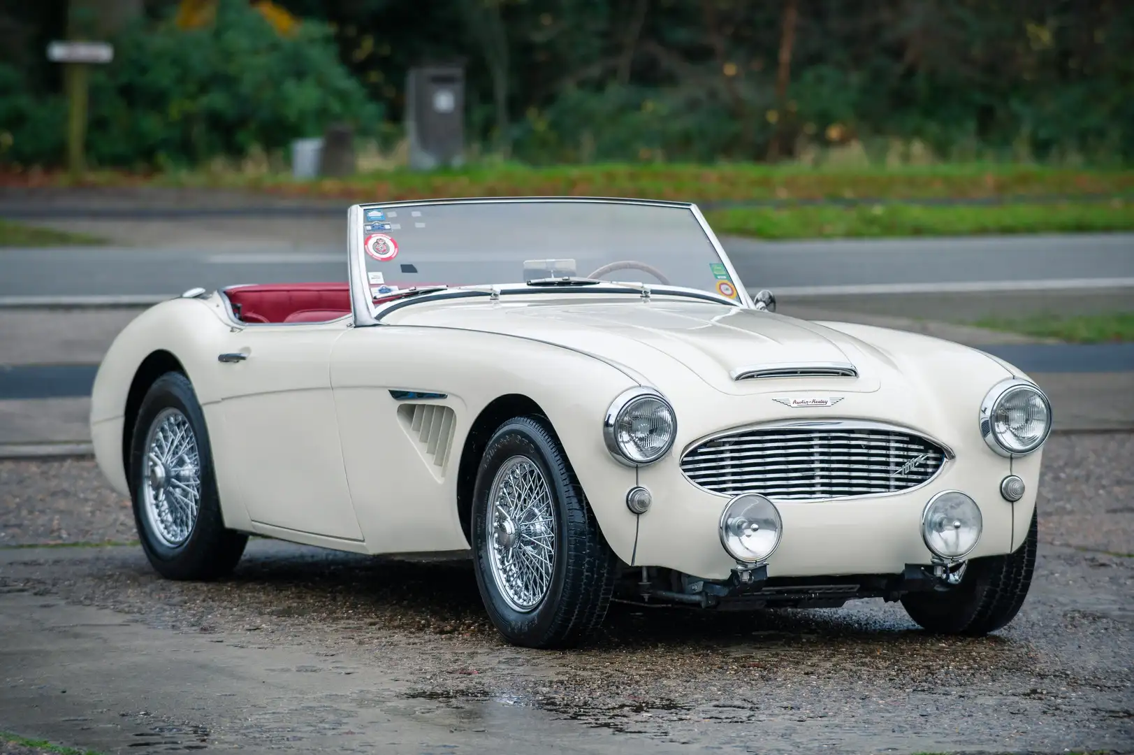 Austin-Healey 100 100/6 bn4 Alb - 2