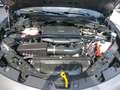 Alfa Romeo Stelvio Sprint 2,0 16V 200 AT8 Q4 Grau - thumbnail 20