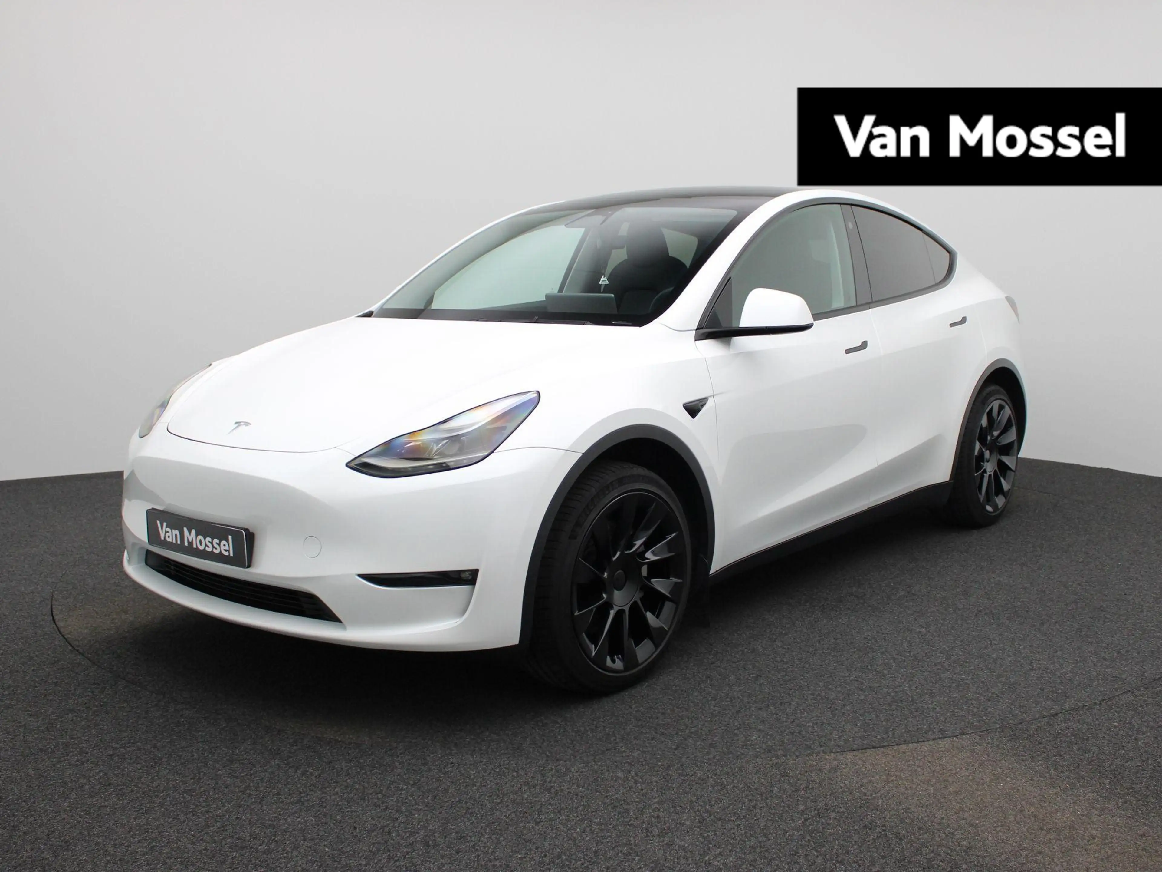 Tesla Model Y Long Range AWD 75 kWh | AFNEEMBARE TREKHAAK | PANO
