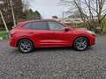 Ford Kuga 1.5 TDCi EB FWD ST-Line X/ACC/apple android/B&O Rood - thumbnail 7