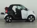 smart forTwo EQ cabrio passion*22 kW-Bordlader*Premium Weiß - thumbnail 8