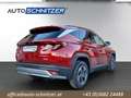 Hyundai TUCSON Tucson 1,6 T-GDI HEV 4WD Jubilé Aut. Rot - thumbnail 5