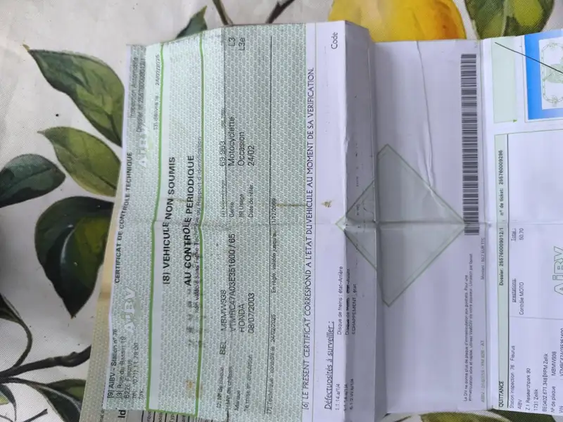 Honda Deauville - foto 6