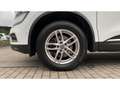 Renault Koleos Intens ENERGY 2.0 dCi 175 4WD LED+RFK Blanc - thumbnail 13