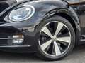 Volkswagen Beetle Cabriolet 1.4 TSI Sport Leder, DSG, Led, Navi Schwarz - thumbnail 4