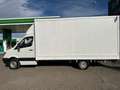 Mercedes-Benz Sprinter Ch.DCb. 313CDI Largo Bianco - thumbnail 8