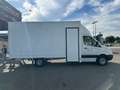 Mercedes-Benz Sprinter Ch.DCb. 313CDI Largo Bianco - thumbnail 5