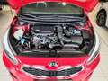 Kia Ceed SW / cee'd SW 1.0 TGDI GT-Line SHZ|Navi|RFK|Lenkradhzg. Rot - thumbnail 23
