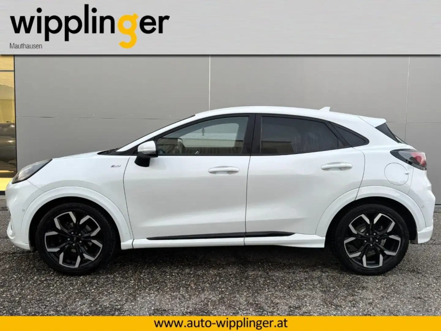 Ford Puma 1,0 EcoBoost Hybrid ST-Line X Blanc - 2