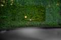 Porsche Cayenne E-Hy SportDesign HUD|ACC|22|SpoAbg|eAHK - thumbnail 13