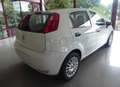 Fiat Punto Punto 5p 1.3 mjt Street bijela - thumbnail 3