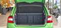 Skoda Rapid/Spaceback *Glasdach*Kamera*Navi*16Zoll* Grün - thumbnail 9