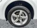 Audi Q5 40 TDI QU 2xS-LINE LED+NAV+ACC+RFK+PANO+AHK Weiß - thumbnail 8