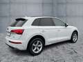 Audi Q5 40 TDI QU 2xS-LINE LED+NAV+ACC+RFK+PANO+AHK Weiß - thumbnail 6