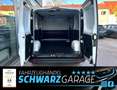 Renault Trafic Kasten L2H1 3,0t Komfort *TAGESZULASSUNG* Weiß - thumbnail 13