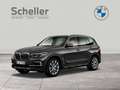 BMW X5 xDrive30d  xLine Head-Up DAB LED WLAN RFK Grau - thumbnail 1