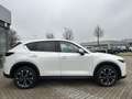 Mazda CX-5 2.5 194 M-Hy.Exclusiv-Line/MATRIX/BOSE/ACC Weiß - thumbnail 8