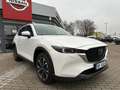 Mazda CX-5 2.5 194 M-Hy.Exclusiv-Line/MATRIX/BOSE/ACC Weiß - thumbnail 9