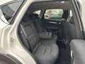 Mazda CX-5 2.5 194 M-Hy.Exclusiv-Line/MATRIX/BOSE/ACC Weiß - thumbnail 18