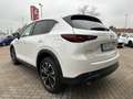 Mazda CX-5 2.5 194 M-Hy.Exclusiv-Line/MATRIX/BOSE/ACC Weiß - thumbnail 5