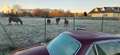 Jaguar XJ12 XJ12 Sovereign HE Sovereign HE Violett - thumbnail 15