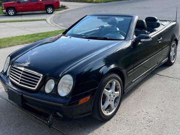 AMG