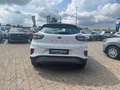 Ford Puma Titanium Weiß - thumbnail 9