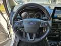 Ford EcoSport 1.0 EcoBoost 125 CV Start&Stop Active Bianco - thumbnail 14