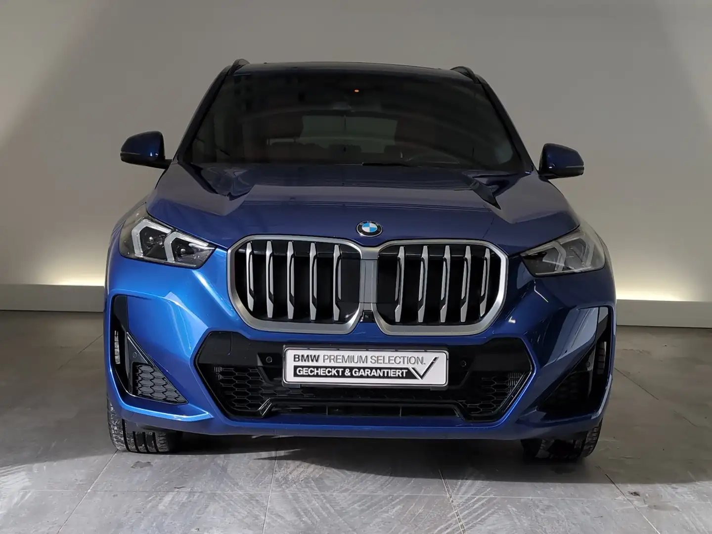 BMW X1 xDrive20d M Sport Navi/LED/Pano/AHK/DrAs/PaAs Navi Blau - 2