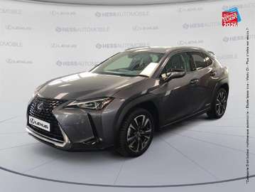 250h 2WD Premium Edition MY21