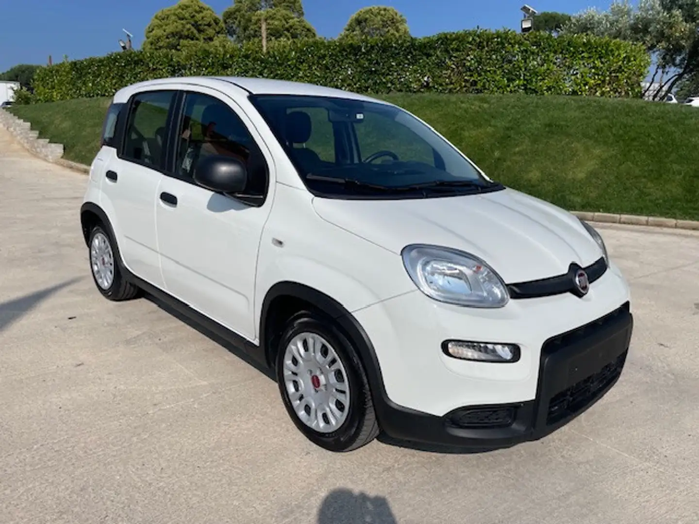 Fiat Panda 1.0 FireFly S&S Hybrid City Life Bianco - 2