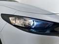 Mazda 3 Mazda3 e-Skyactiv-G M Hybrid Homura Bianco - thumbnail 17