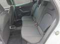 SEAT Arona 1.0 TSI FR Allwetterreifen LED Parklenkass Blanc - thumbnail 13