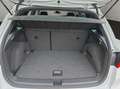 SEAT Arona 1.0 TSI FR Allwetterreifen LED Parklenkass Blanc - thumbnail 19