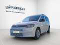 Volkswagen Caddy Life Maxi Grau - thumbnail 2