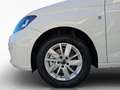 Volkswagen Caddy Life Maxi Grau - thumbnail 11