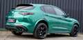 Alfa Romeo Stelvio 2.9 V6 Quadrifoglio Q4 510cv auto VERDE MONTREAL Verde - thumbnail 8