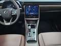 Lexus LBX 1.5 136cv HEV Elegant+ Roşu - thumbnail 19