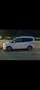 Ford Tourneo Courier Tourneo Courier 1,0 EcoBoost Titanium Titanium Weiß - thumbnail 1