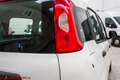 Fiat Panda Panda III 2016 1.2 Pop - Ok neopatentati!!! Bianco - thumbnail 20