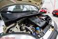 Fiat Panda Panda III 2016 1.2 Pop - Ok neopatentati!!! Bianco - thumbnail 30
