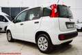 Fiat Panda Panda III 2016 1.2 Pop - Ok neopatentati!!! Bianco - thumbnail 4